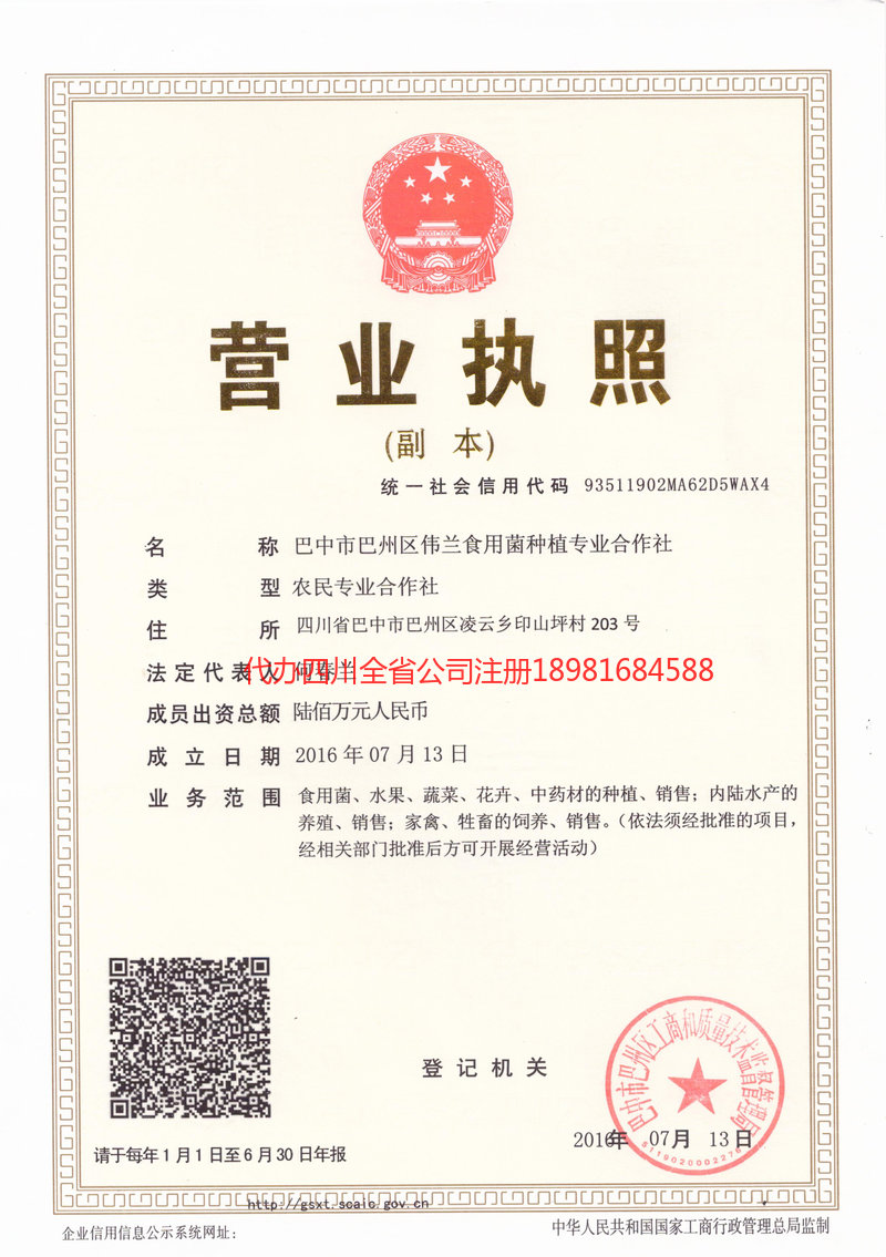 垫江垫江伟兰食用菌种植专业合作社